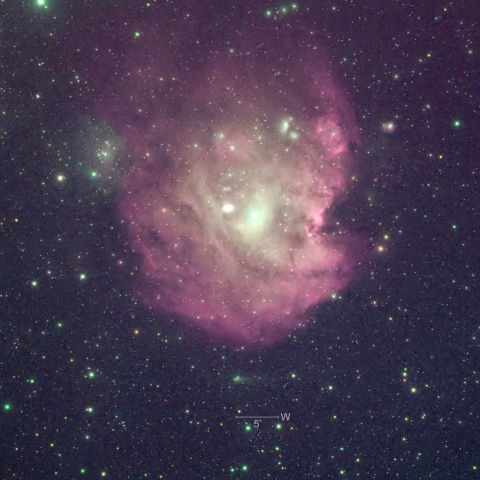 78P & NGC2175　8/24