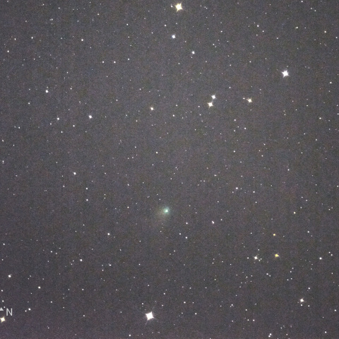 C/2019U6 Lemmon　8/14