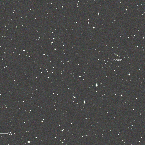 61P (2022) 10/23