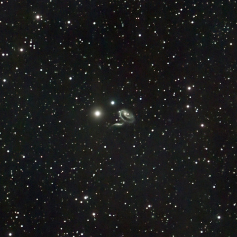 ARP273：宇宙に咲く野バラ