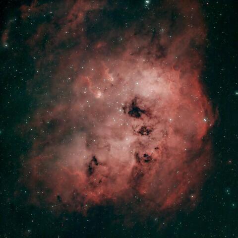 NGC1893：オタマジャクシ星雲