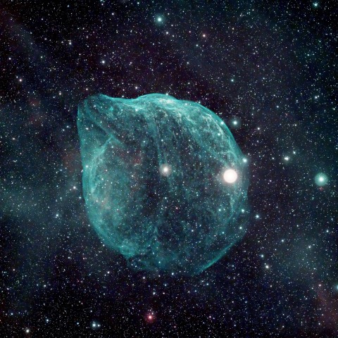 sh2-308　ミルクポット星雲、それともイルカ？