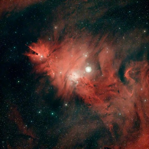 NGC2264 クリスマスツリー星団