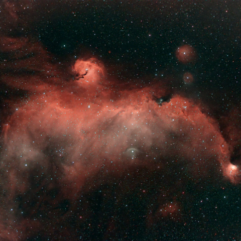 IC2177:カモメ星雲