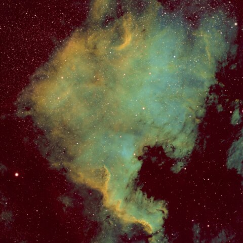 ナローバンド・ファーストフラッシュ：NGC7000（北アメリカ星雲）