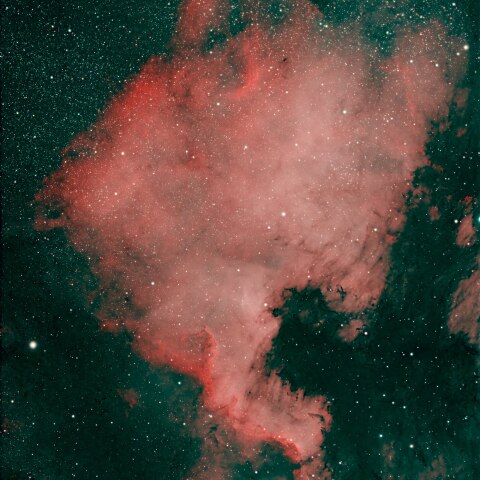 ナローバンド・ファーストフラッシュ：NGC7000（北アメリカ星雲）