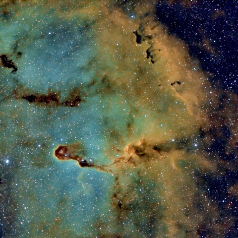 NGCC1396：象の鼻星雲・ハッブルパレット（緑編）