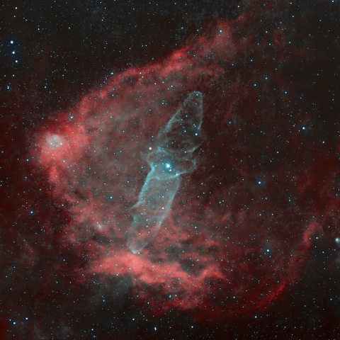 sh2-129：ダイオウイカ星雲