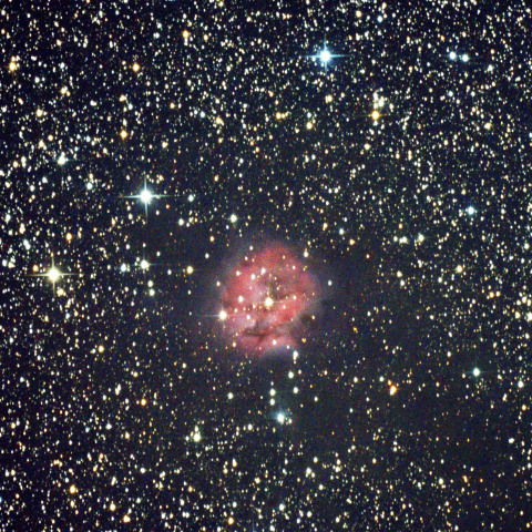 IC5146：まゆ星雲