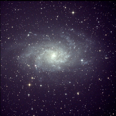 M33　リベンジ