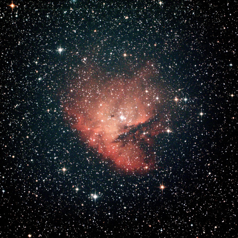 ダークが引けた！