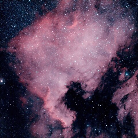 NGC7000：北アメリカ星雲