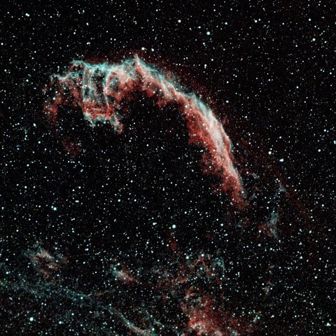 NGC6955：網状星雲（東）