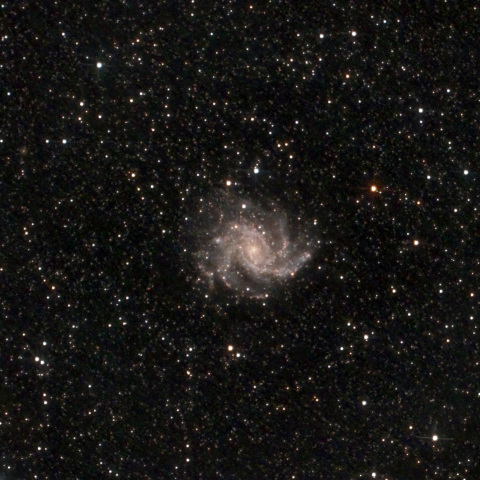 NGC6946:花火銀河