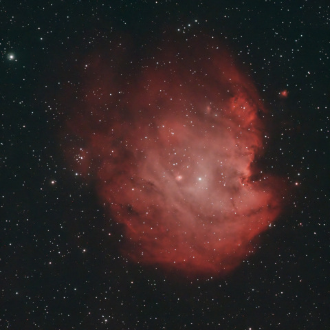 NGC2174：モンキー星雲