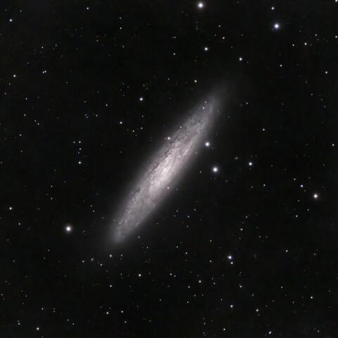 NGC253
