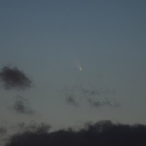 パンスターズ彗星