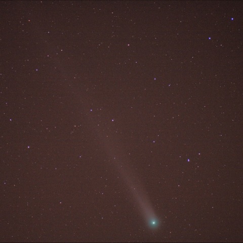 ラブジョイ彗星（C/2013 R1）