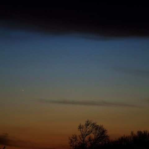 パンスターズ彗星　3/12