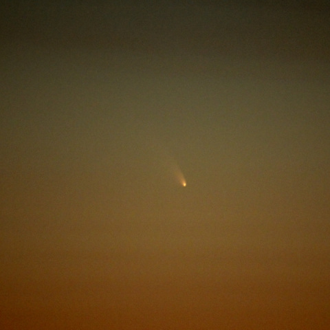 パンスターズ彗星