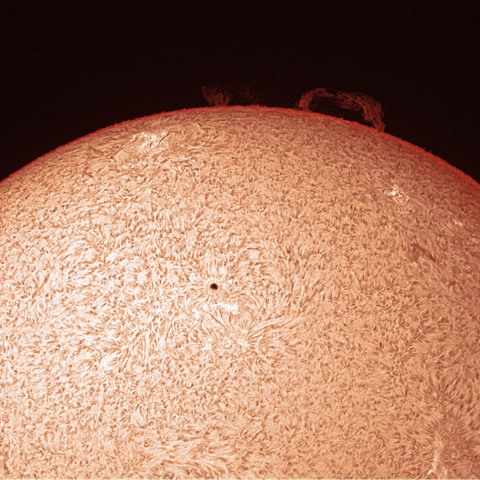 プロミネンスアーチ