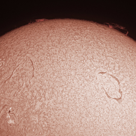 紅炎・暗条・活動領域