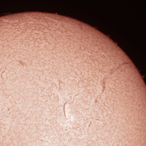 長大なフィラメント