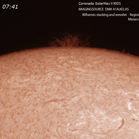 ６月５日の樹状プロミネンス