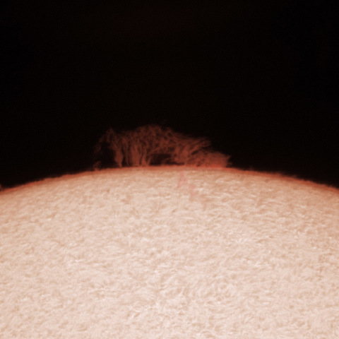 ６月最後のプロミネンス