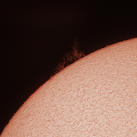 網の目プロミネンス