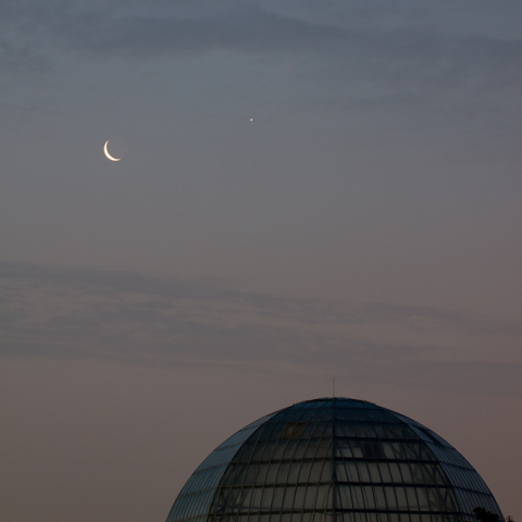 5/26の月と金星
