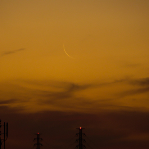 夜明けの繊月