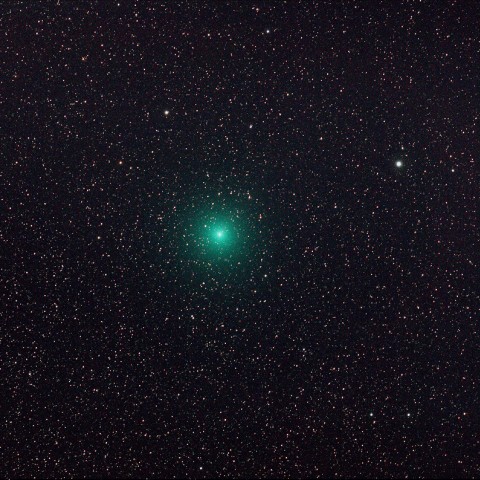 リニア彗星（252P）