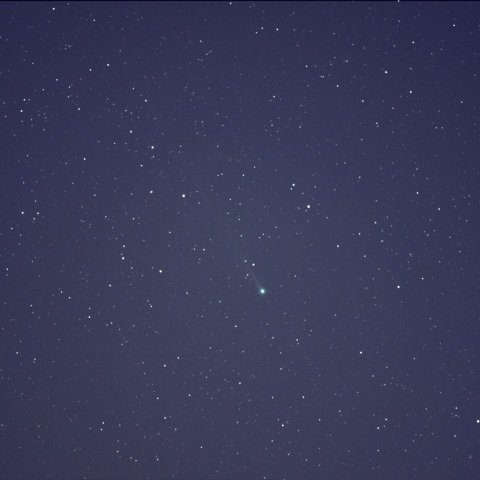 本田・ムルコス・パイドゥシャーコバー彗星