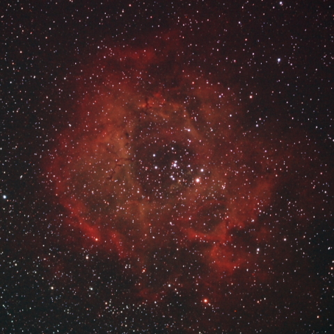 天空の紅い薔薇