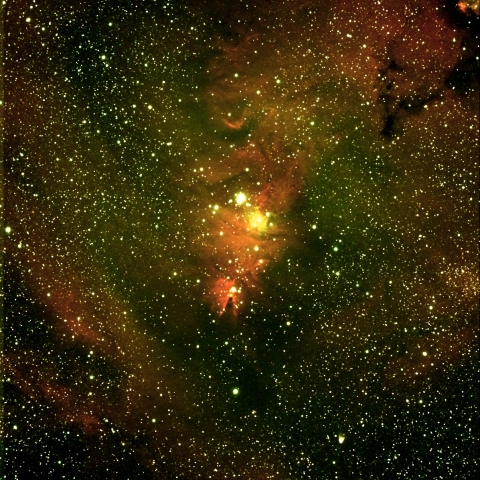 クリスマスツリー星団 コーン星雲