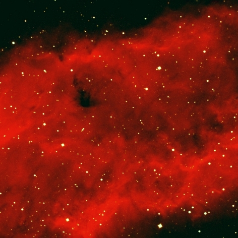 NGC1499 カリフォルニア星雲（ペルセウス座）