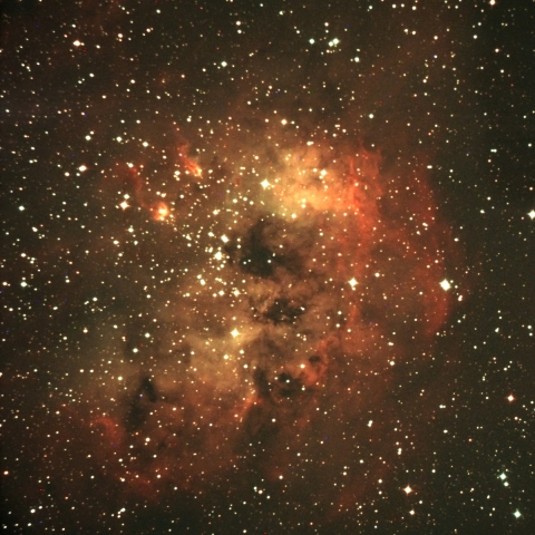 おたまじゃくし星雲