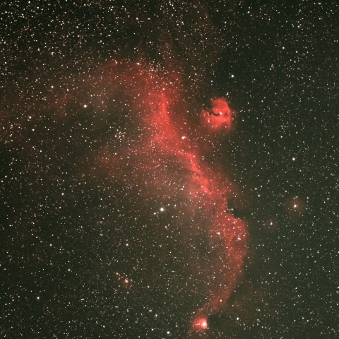 いっかくじゅう座 おおいぬ座 かもめ星雲 IC2177250mm