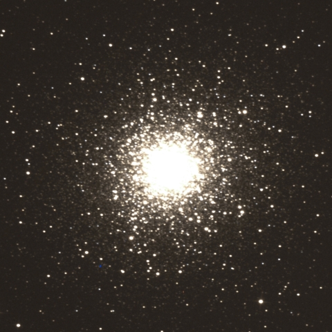 M13