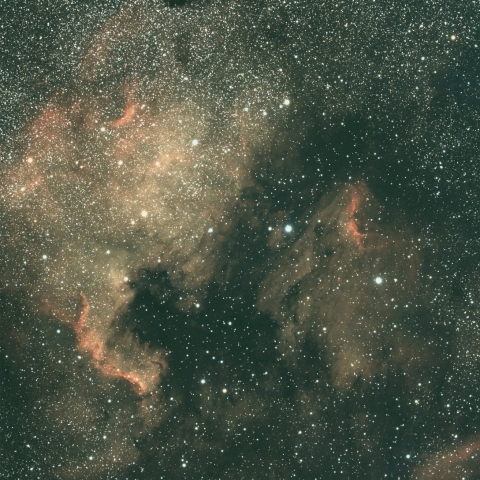 北アメリカ  ペリカン星雲 