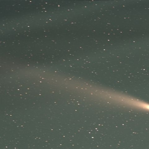 紫金山-アトラス彗星 