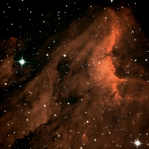  ペリカン星雲頭部 