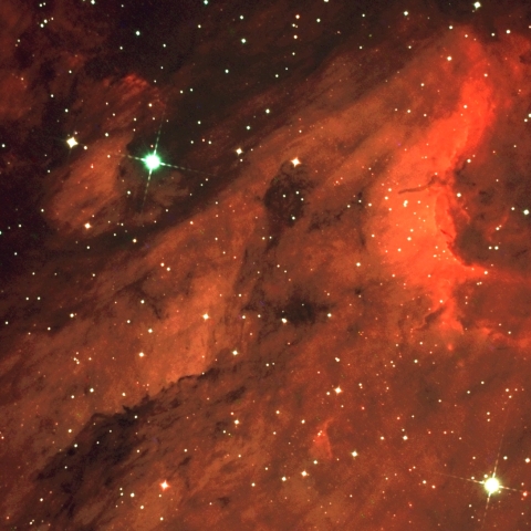 ペリカン星雲 頭部