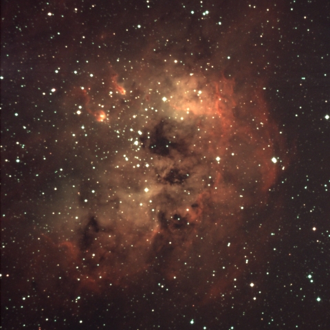 おたまじゃくし星雲