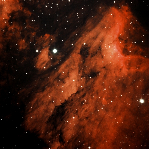 ペリカン星雲 頭部