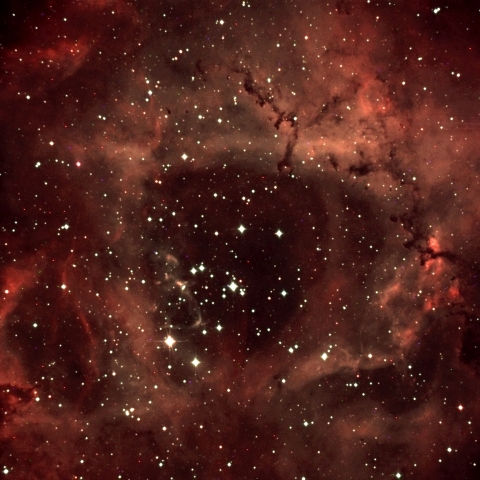 NGC2237 ばら星雲
