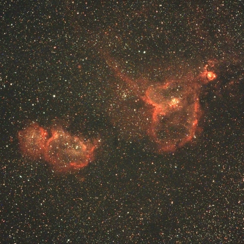 胎児星雲　ハート星雲