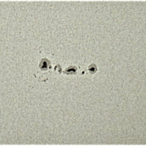 大きくなあーれ