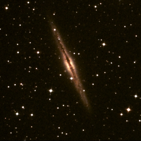 NGC891